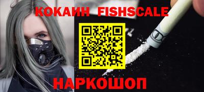гашик Камышлов