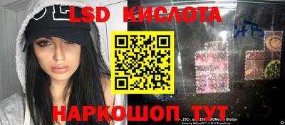 гашик Камышлов