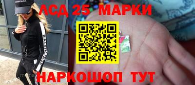 гашик Камышлов