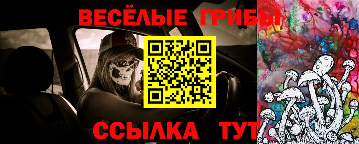 Псилоцибиновые грибы Psilocybine cubensis Лянтор